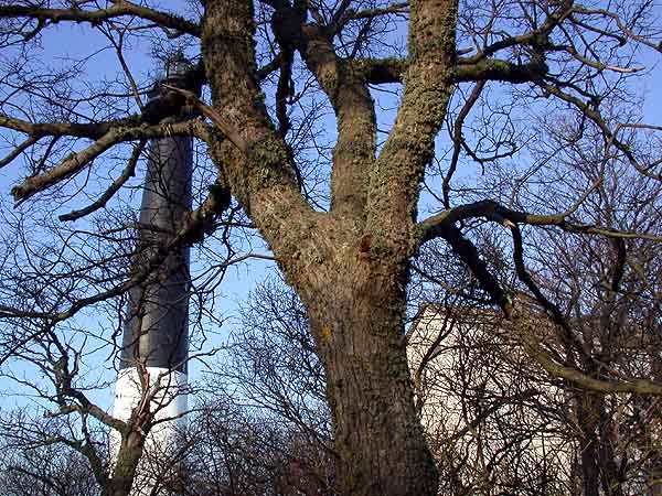 2003-04-21- Dscn7219