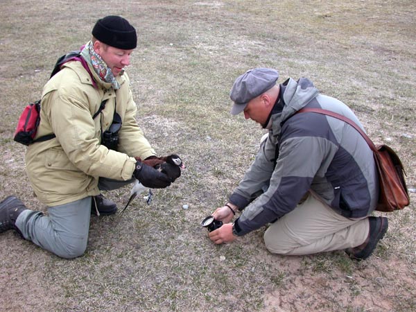 2003-04-23-Alli Ja- Pojat