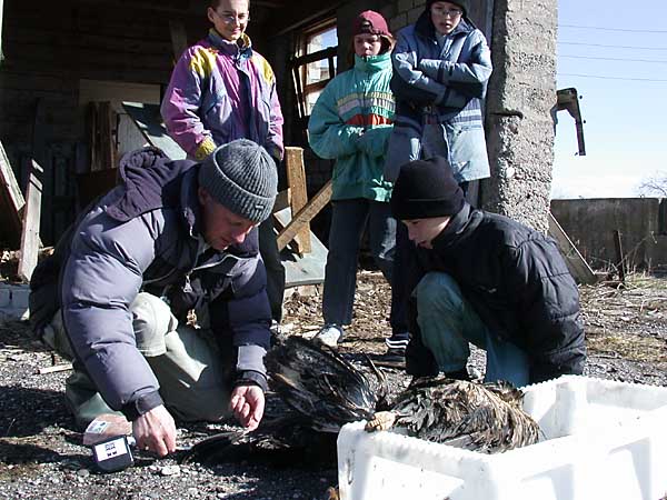 2003-04-24- Dscn7502