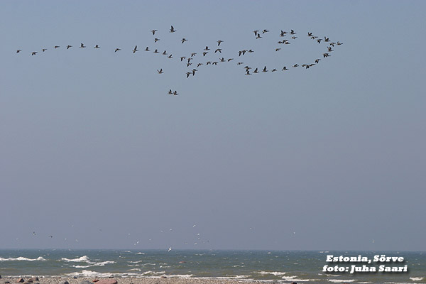 2003-04-30 1 Valkkarit