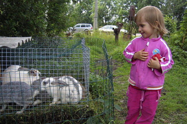 2006 08 05 Kiiajapuput