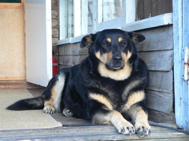 2008-07-22-Kaikkihyvin1