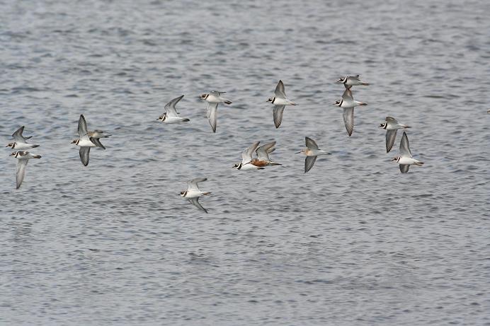 2008-08-27Tylleijamuuta