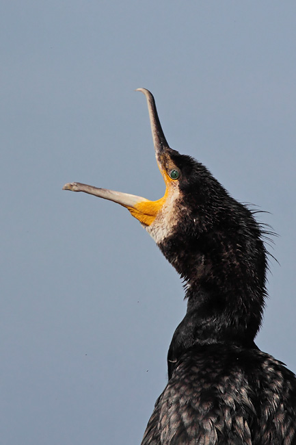 2009-08-29 3 (Mati Martinson)-2