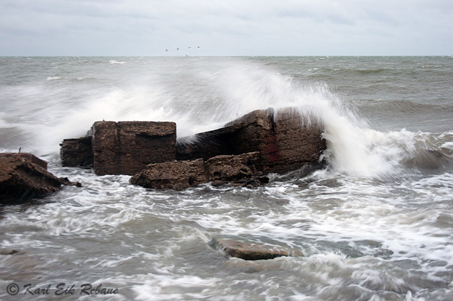 2009-10-03 5 (Karl Eik Rebane)F