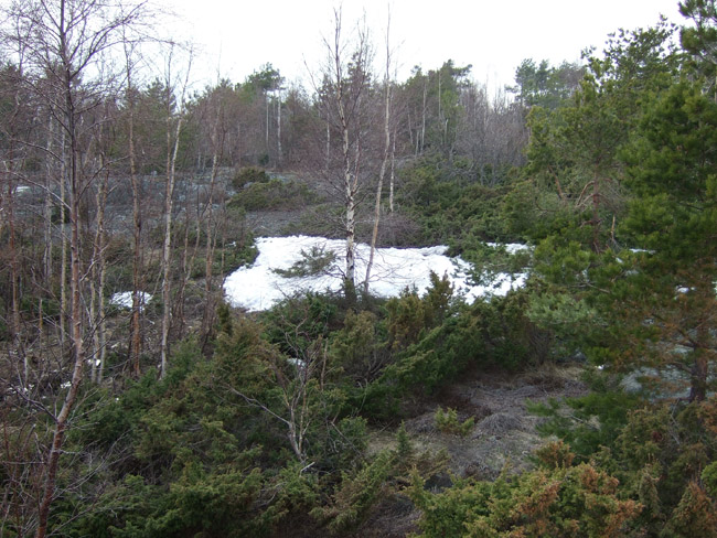 2010 0509Ronski20036