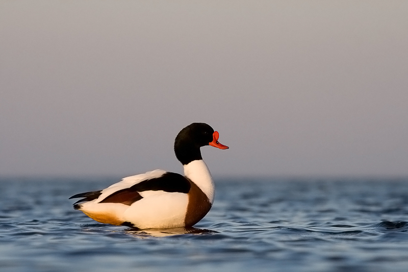 2011-04-17 1 (Ainar Unus)