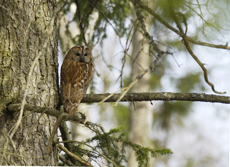 2011-04-29 1 (Markku  Jokinen)