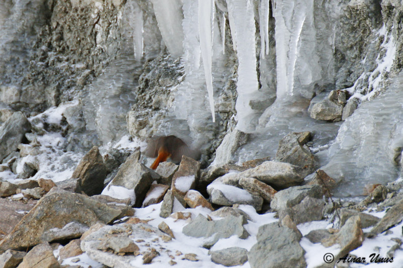 2012-12-01 2 (Ainar Unus)