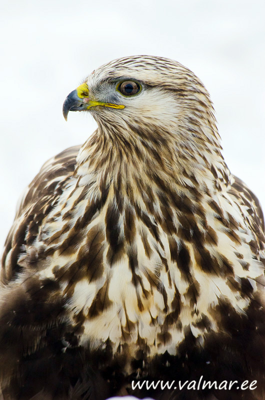 2012-12-27 1 Profiilis