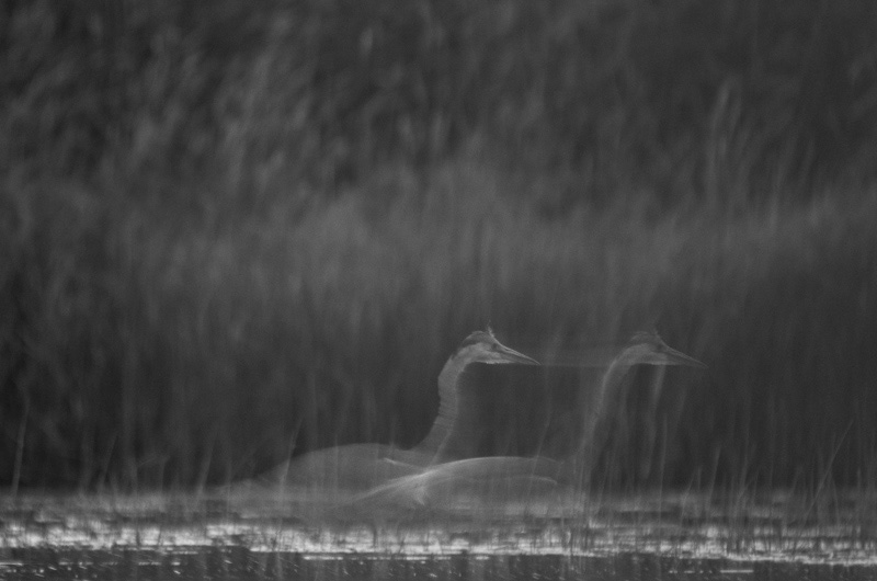 2013-08-29 10 (Allar Liiv)