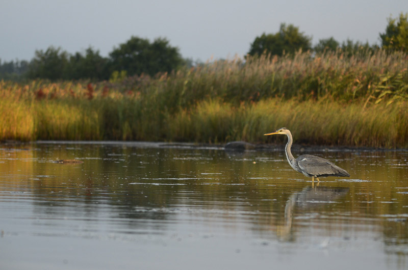 2013-08-29 6 (Allar Liiv)