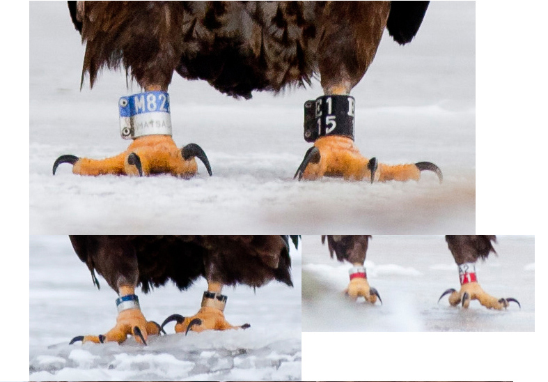 2014-01-19 3 (Marko Paloveer)