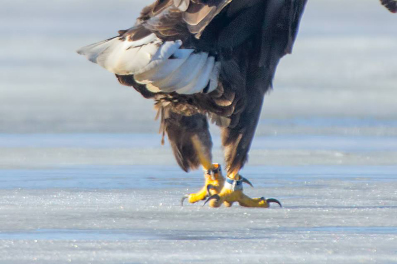 2014-02-18 2 (Jan Lepamaa)