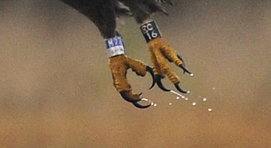 2014-11-18 3 (Jokinen)