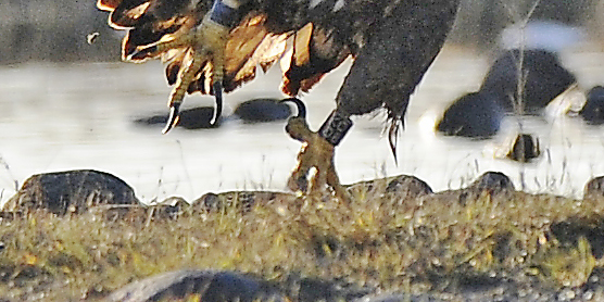 2014-11-23 2 (Jokinen)