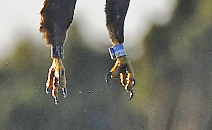 2014-11-23 3 (Jokinen)