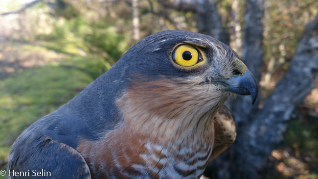 20140927 131321 Android