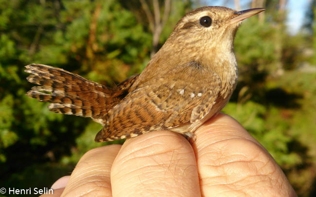 20140928 100815 Android