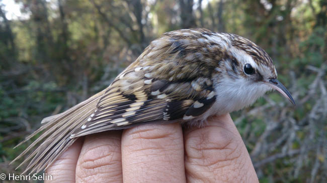 20140929 151923 Android