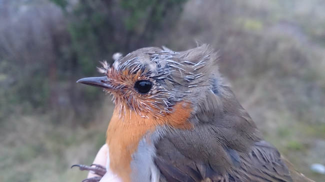 20141021 090211 Android-2