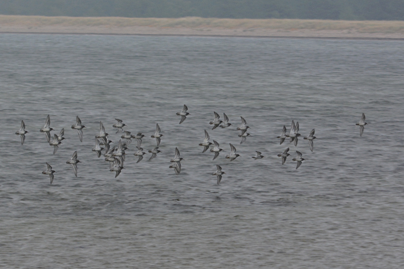 2015-11-01 2 (Tarvo Valker)