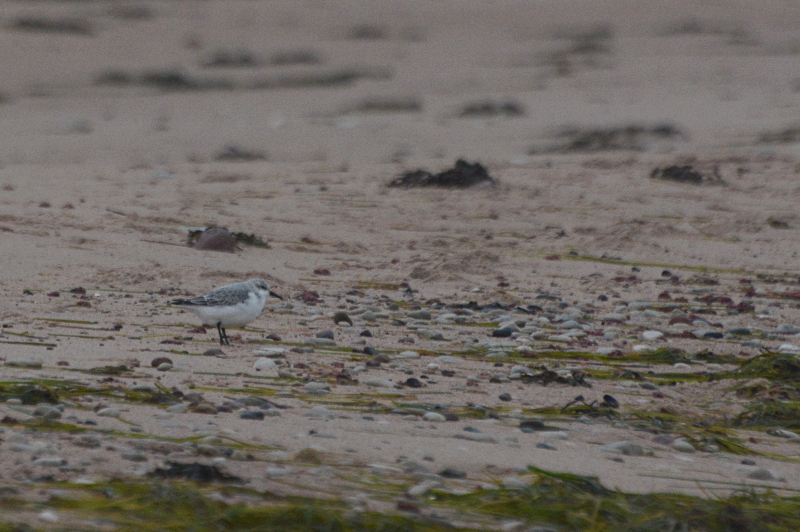 2015-11-01 3 (Tarvo Valker)