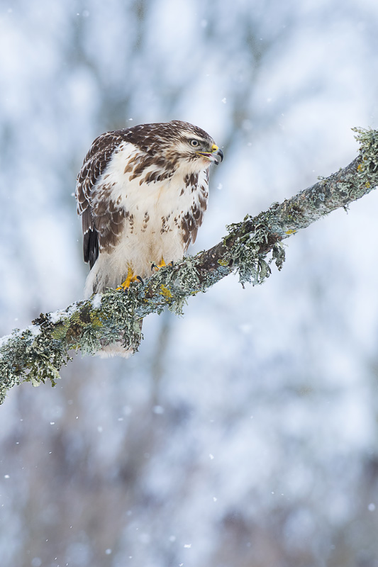 2016-01-22 3 Valmar Valdmann