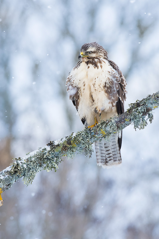 2016-01-22 4 Valmar Valdmann