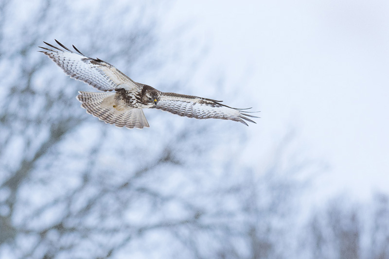 2016-01-22 5 Valmar Valdmann