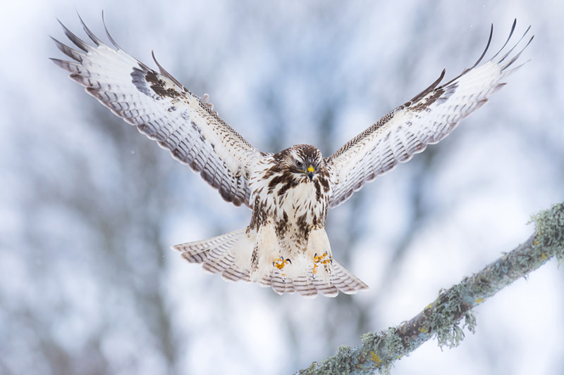 2016-01-22 6 Valmar Valdmann