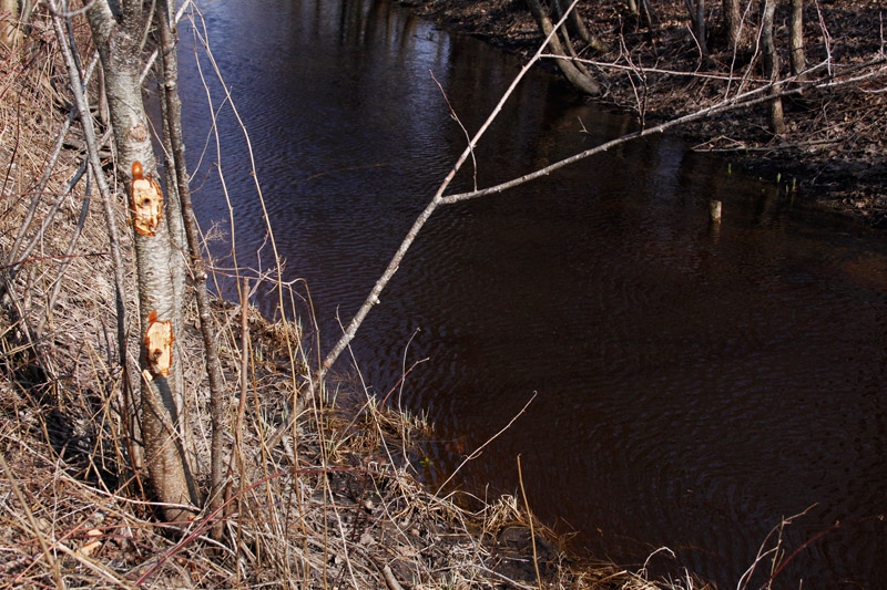 2016-03-28 Kurdla 1A