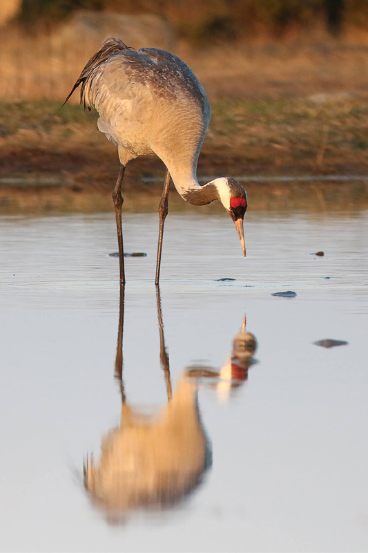 2016-04-30 3V (Triin Kaasiku)