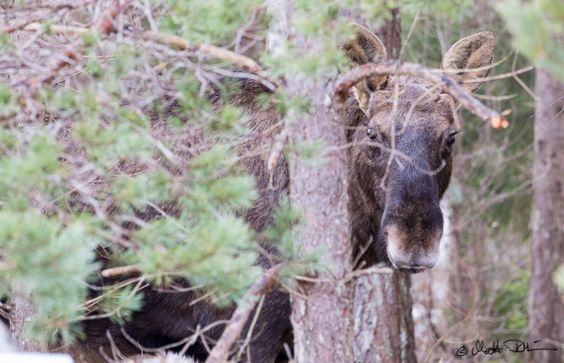 20160324-20160324- Mre2971