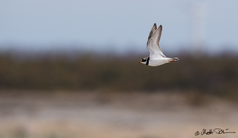 20160325-20160325- Mre3645