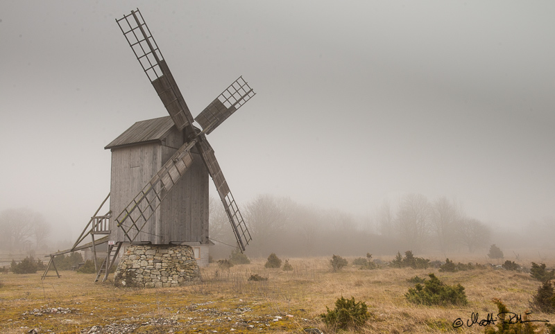 20160326-20160326-Mre 6401