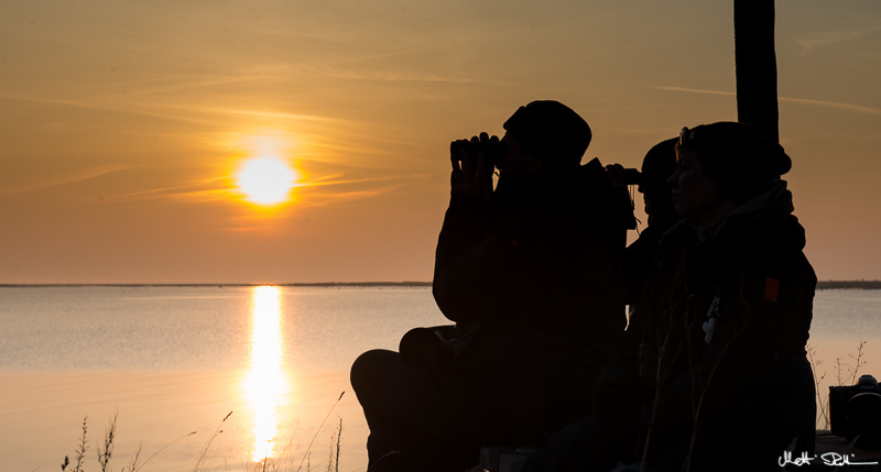 20160327-20160327-Mre 6504