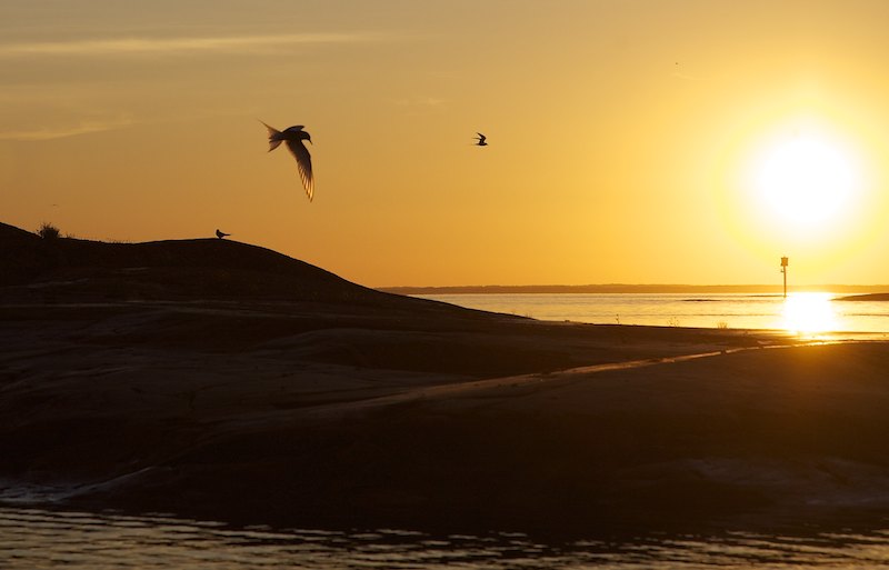 Auringonlasku Mg 7519