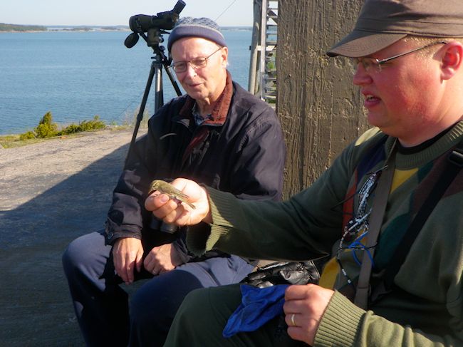 Eka Iduli Varsinainen Kuva