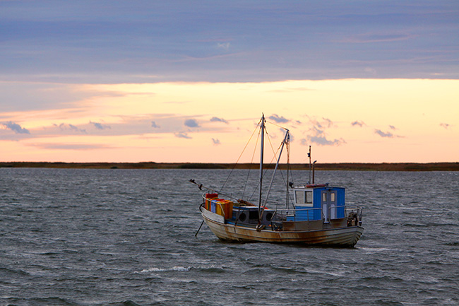 Heinmaiden Kalastusalus 2809