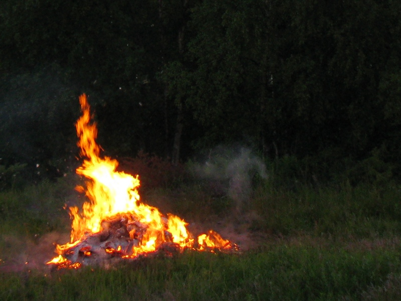 Kokko Ja Haamu 800X600