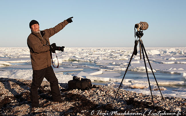 Pete Saare 2011 Tmuukkonen