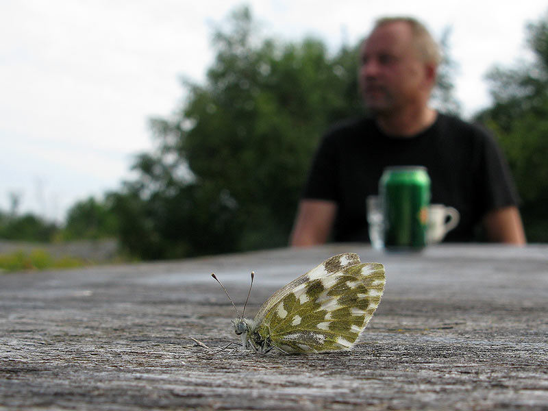 Sinappi-Ja-Ruspe-230711-Ronski