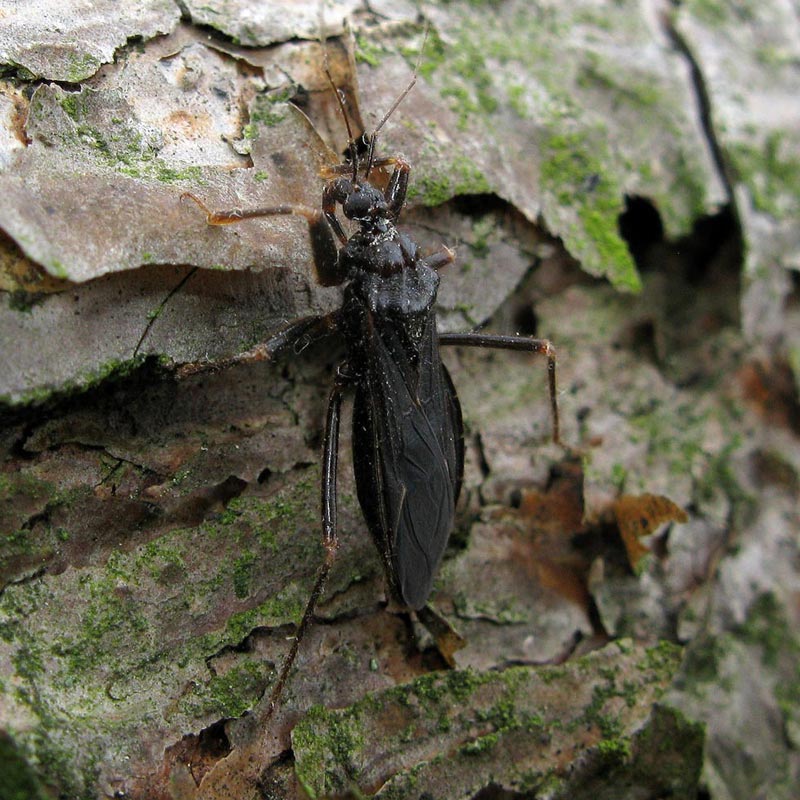 Uusi-Ludelaji-Suomelle-0907