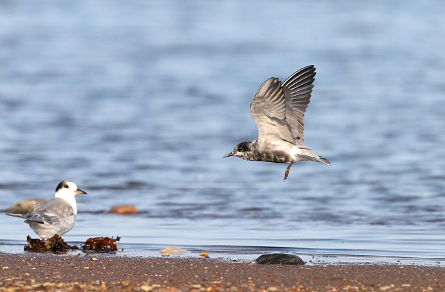  Mg 8783 Chlnig Web 001