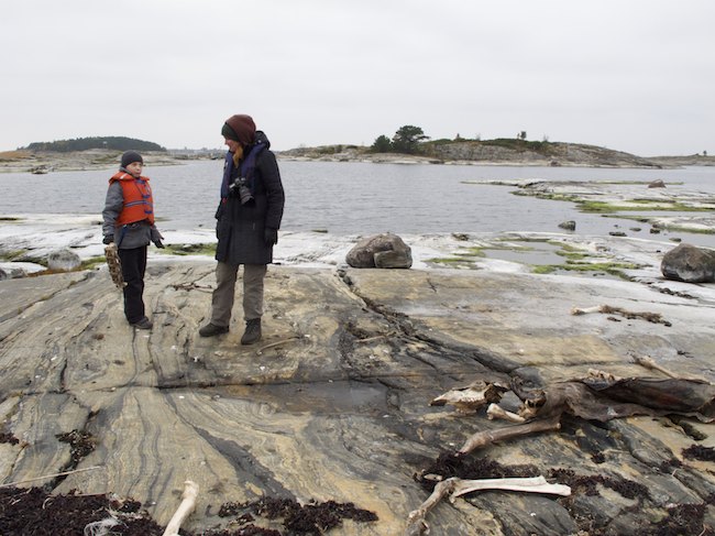 Aarominnahirviimg 2777