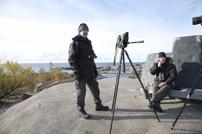 Jussijasakke Mg 0628