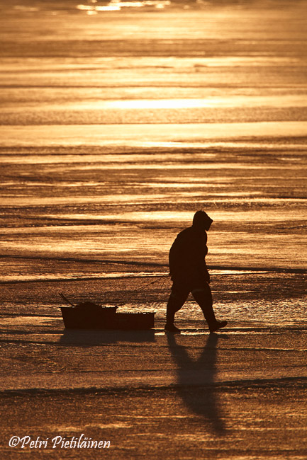 Kalastaja2203115095Ee