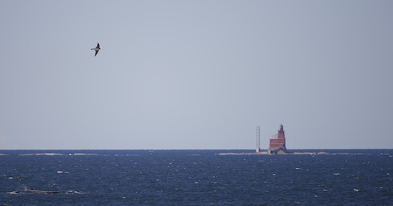 Kallbadapaasky A1G2379