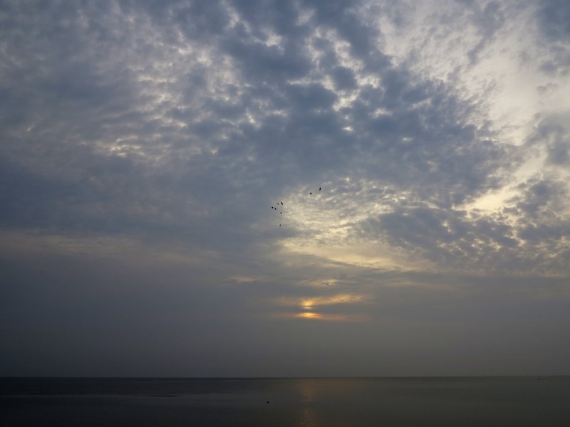 Maisemaphala1Img 5371